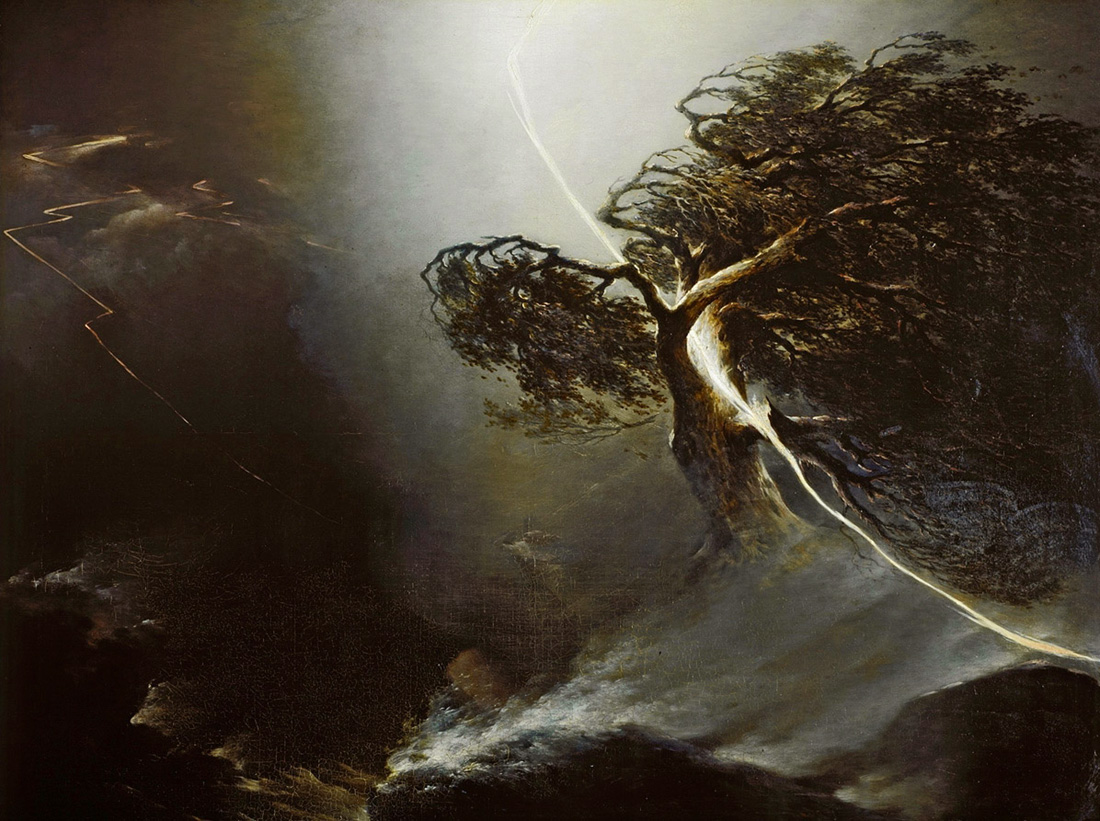 oak tree hit by lightining